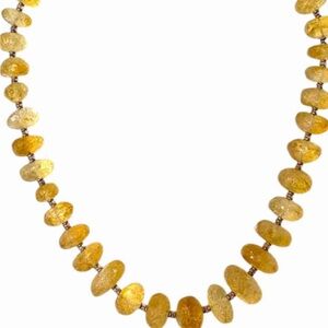 Radiant Gold Beaded Necklace